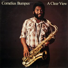 Cornelius Bumpus – A Clear View